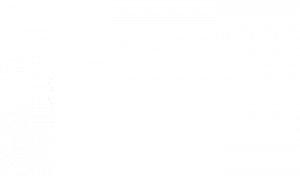Winner of Best Film Award New York Film Festival