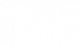 Best Animation Award Logo at Rushes