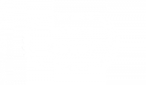 Winner of Best Animation at the Webby Awards