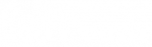Pointr logo white