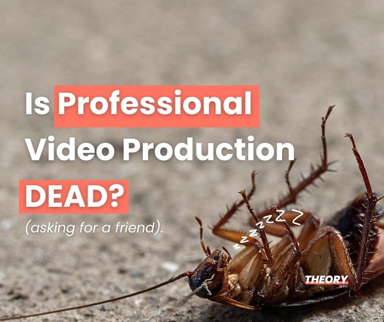 Is Professional Video Dead? (Asking for a Friend)